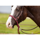 Brightstar westernhoofdstel ED3