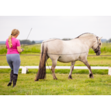 Refine long rope reins