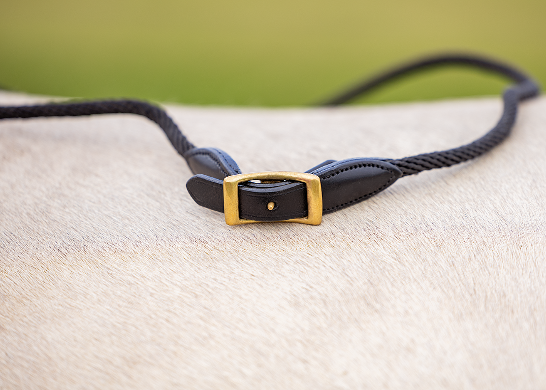 Refine long rope reins