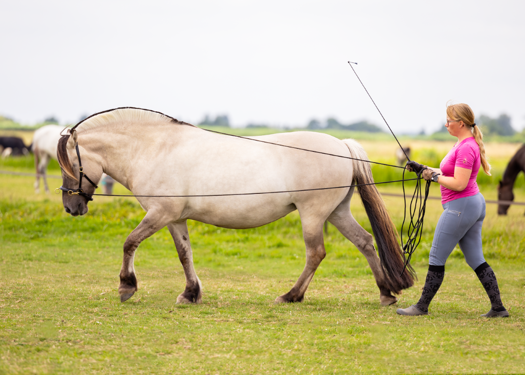 Refine lange touw teugels
