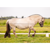 Refine long rope reins