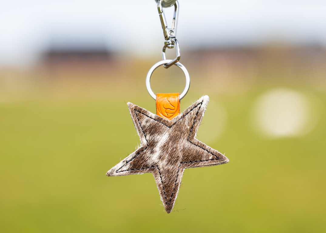 Sleutelhanger leder ster hart paard