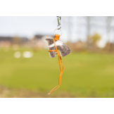 Sleutelhanger leder ster hart paard