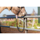 Safety Release Iris for secure fastening