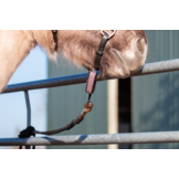Safety Release Iris for secure fastening