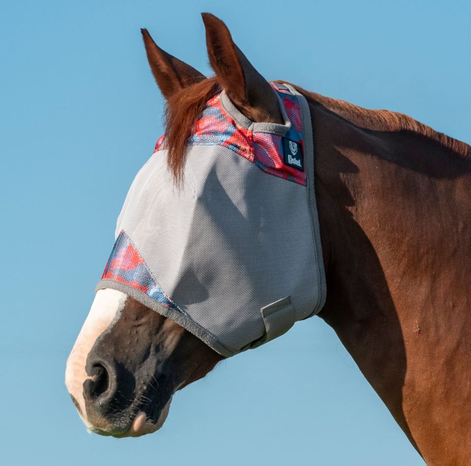 Crusader fly mask  without ear and nose protection