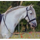 Vegitex Englisch reins super grip