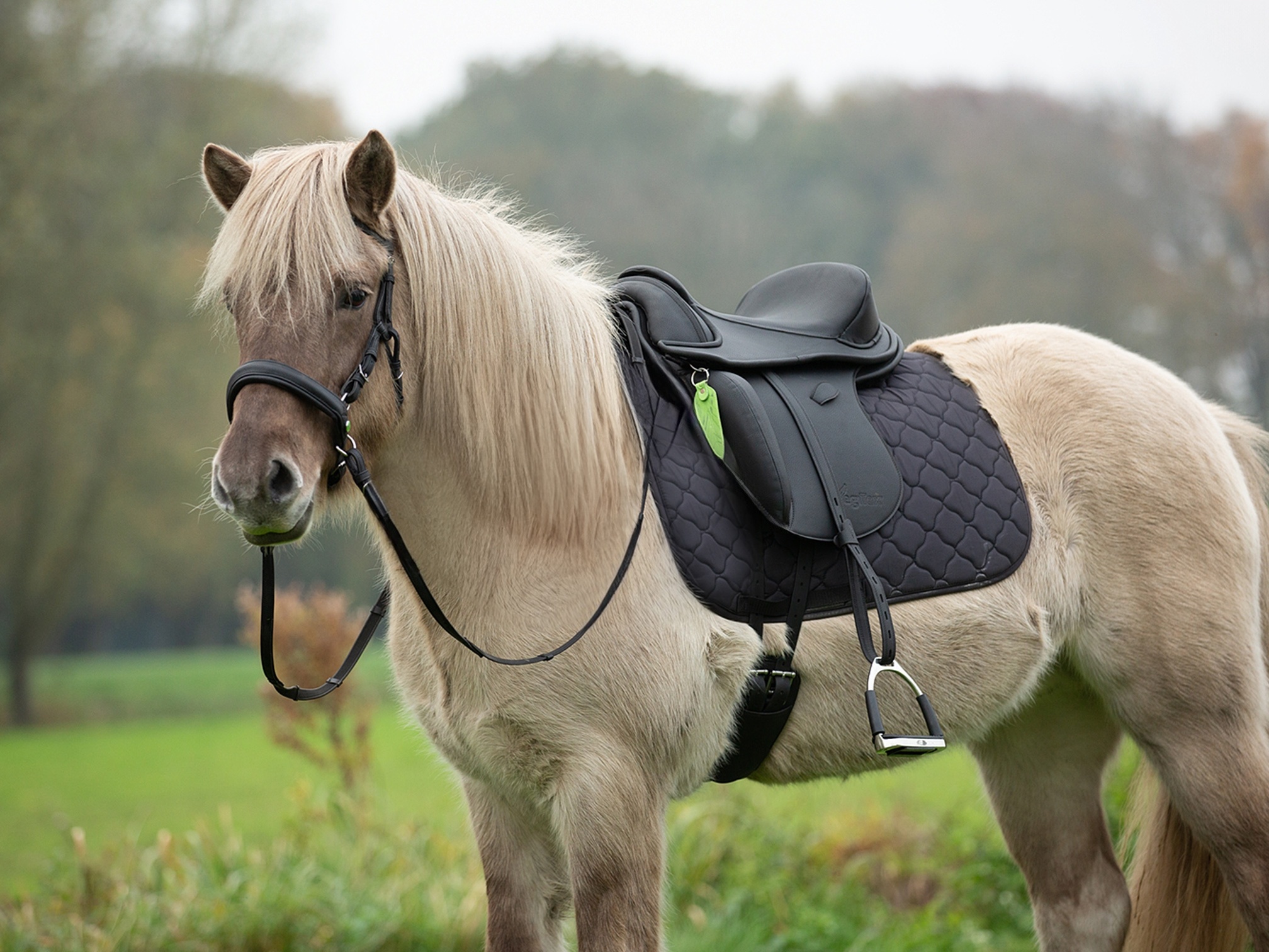 Merlyn Vegitex dressuur boomlooszadel