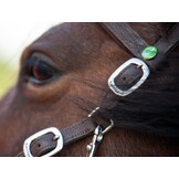 Syringa Vegitex cross bitless bridle
