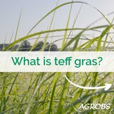 Teffcobs low in sugar 20kg