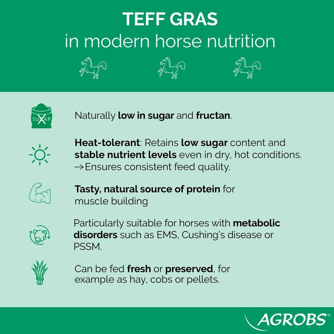 Teffcobs suikerarm 20kg