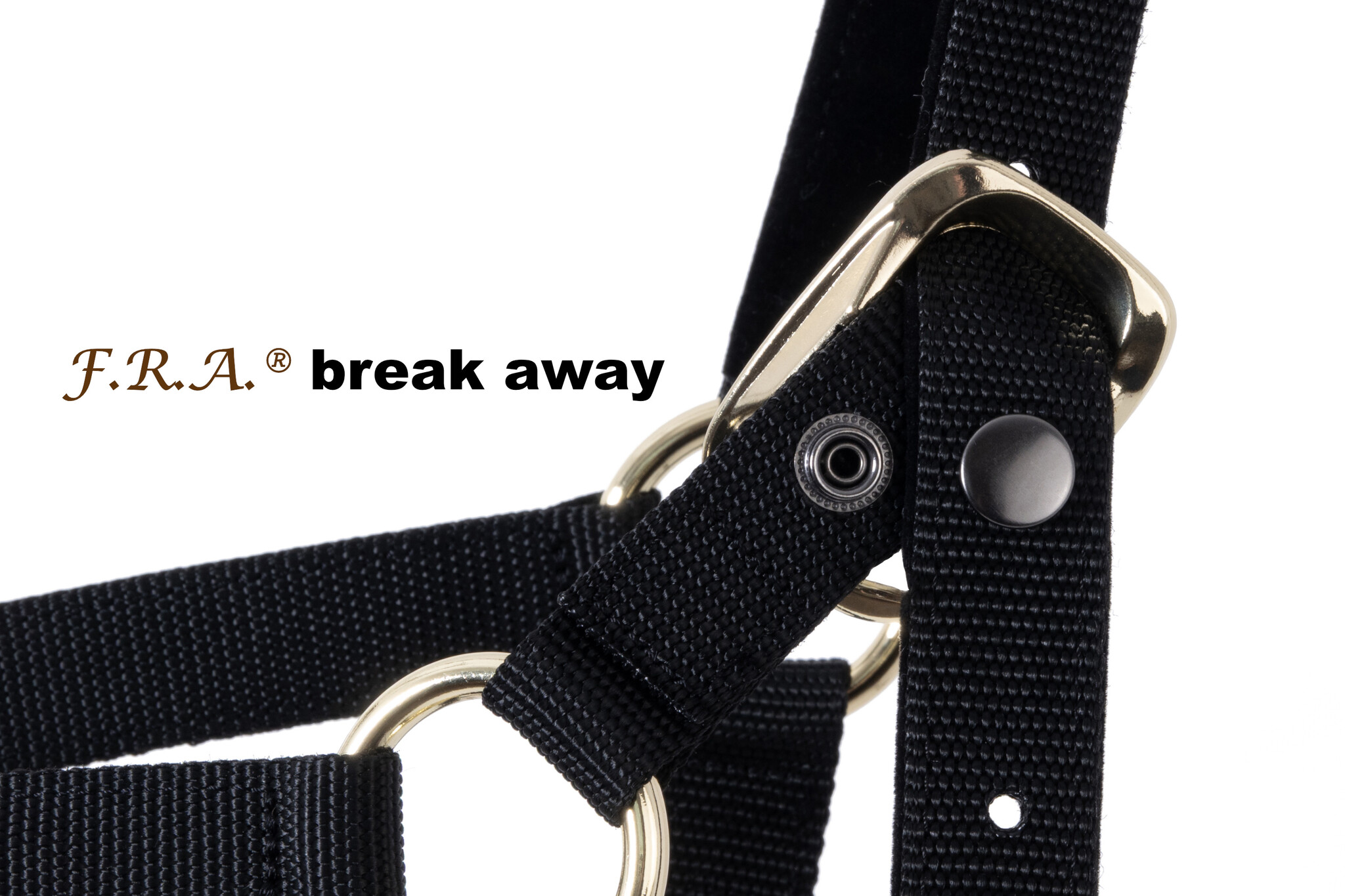 Break Away veiligheids halster 2 in 1