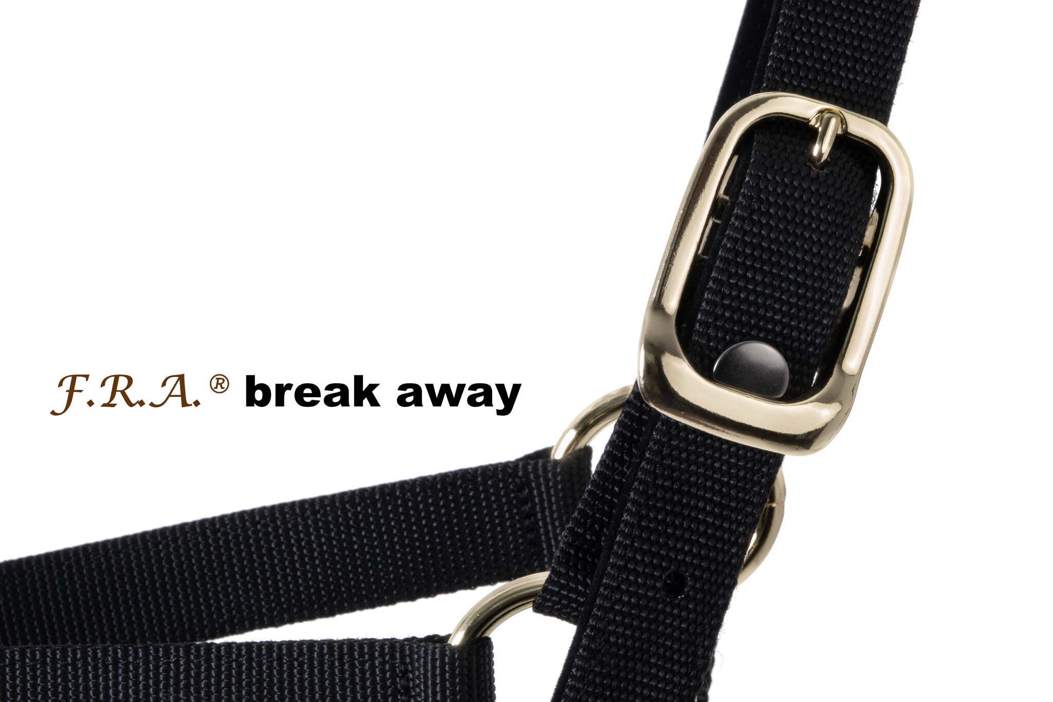 Break Away safety halster 2 in 1