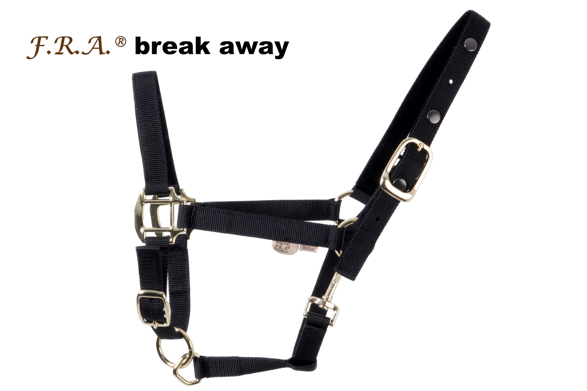 Break Away safety halster 2 in 1