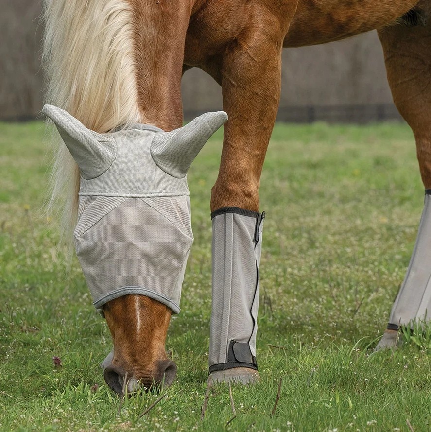 Horse Fly Boots UV Protection