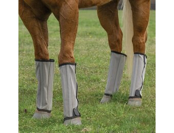 Horse Fly Boots