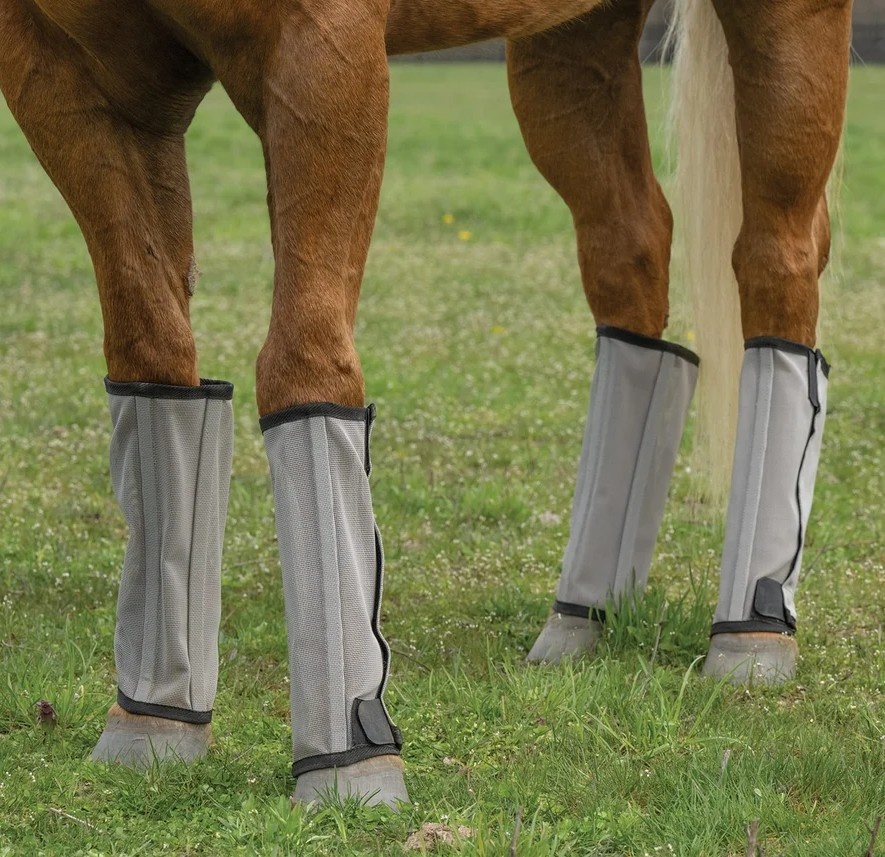 Horse Fly Boots UV Protection