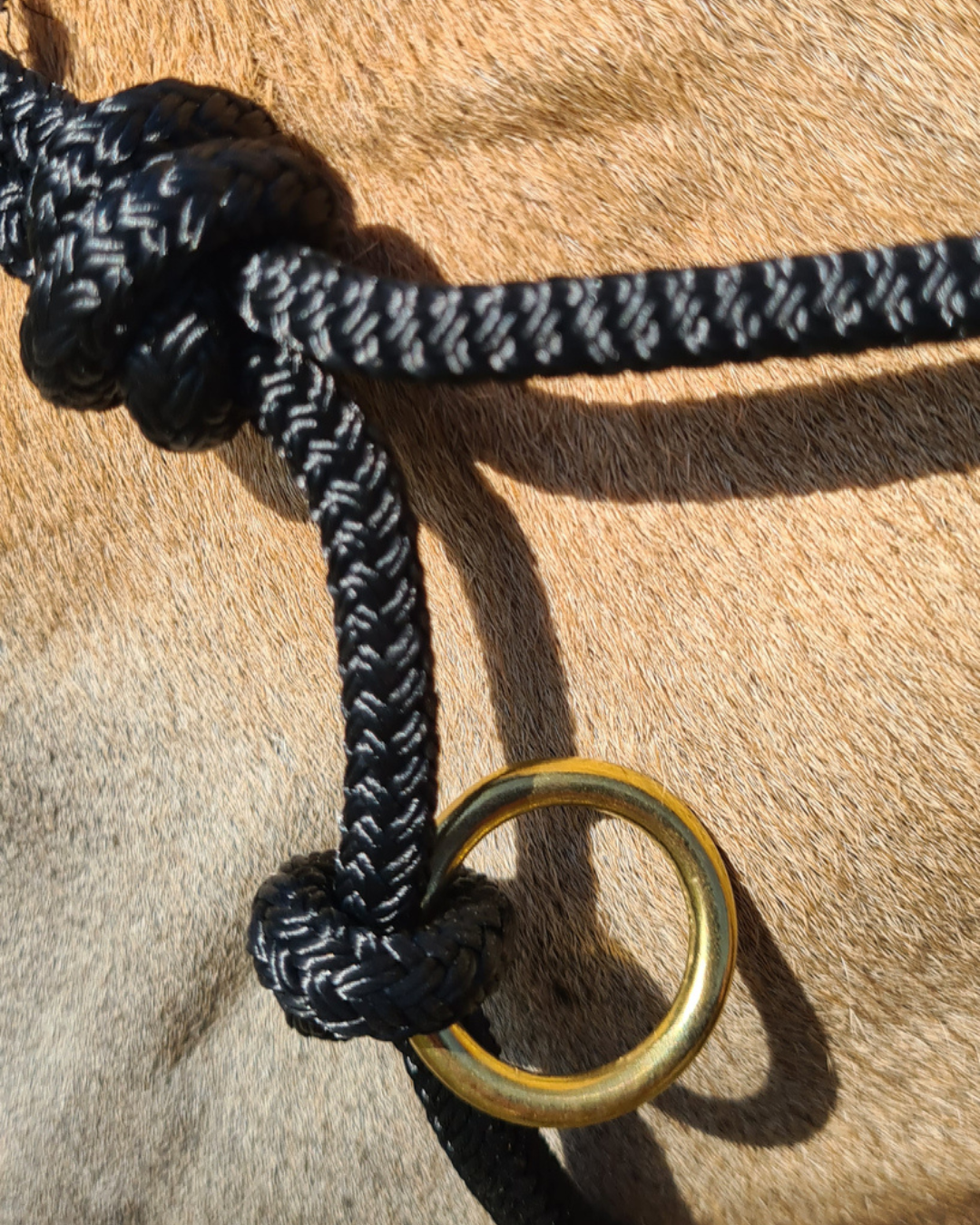 Knotenhalfter Sidepull Profi made in europe