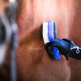 therapy brush Putzi made from synthetic material