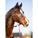 Alano bosal nylon