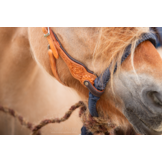 Alano bosal nylon