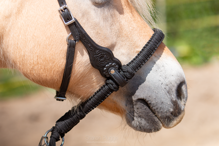 Alano bosal nylon