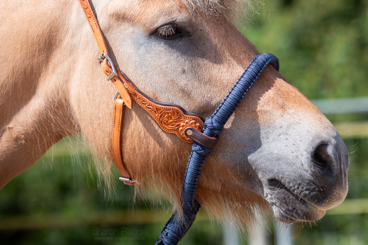 Alano bosal nylon