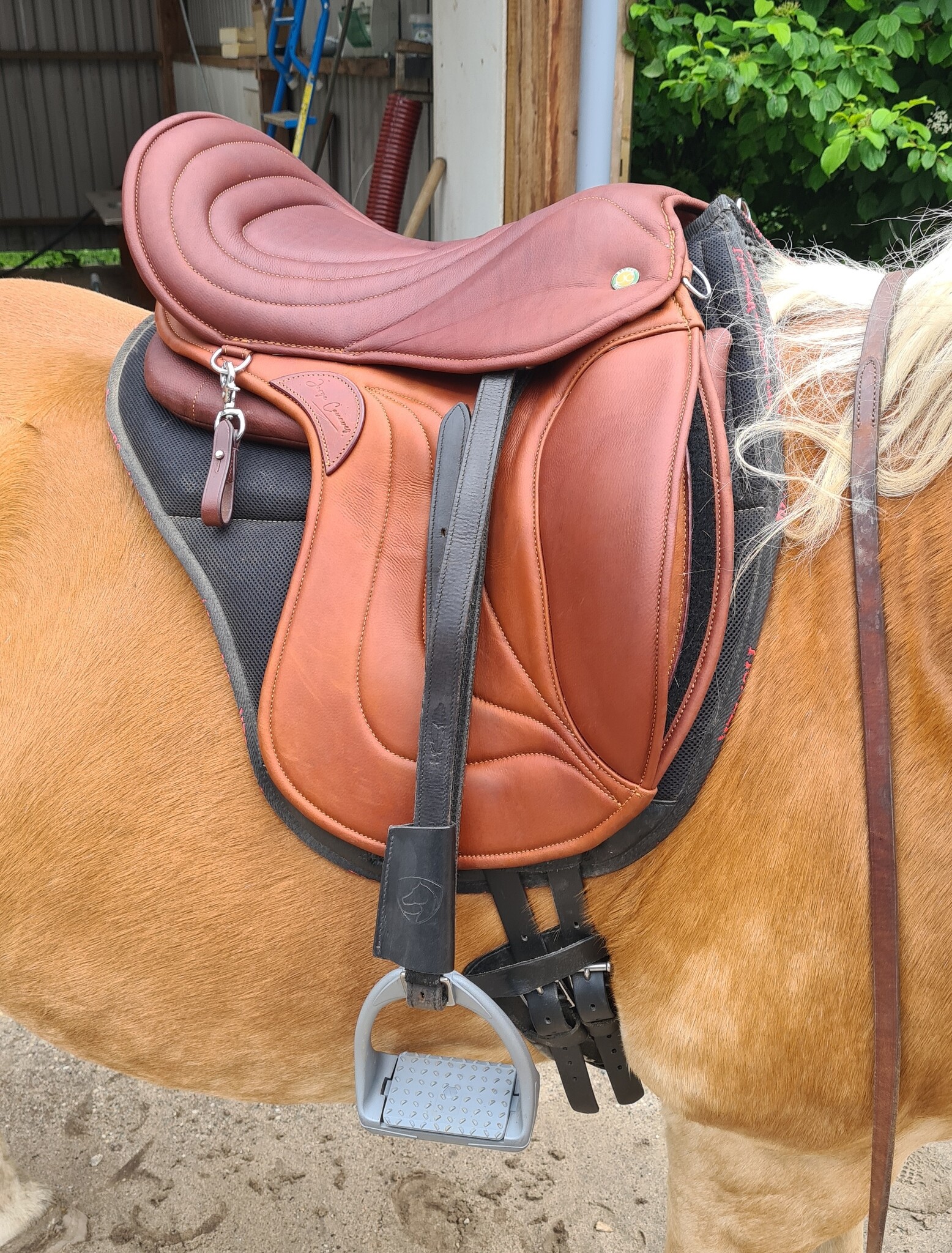 Test saddle Cloud VS 17,5inch