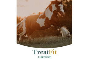 TreatFit