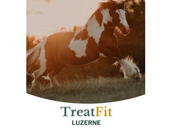 TreatFit