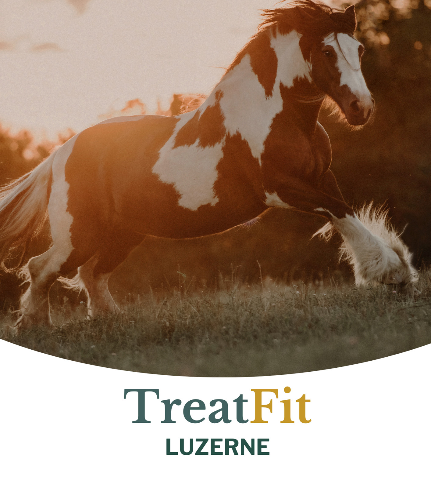 TreatFit Luzerne