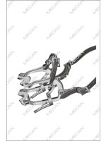 Mecan Mondsperder paard Millennium