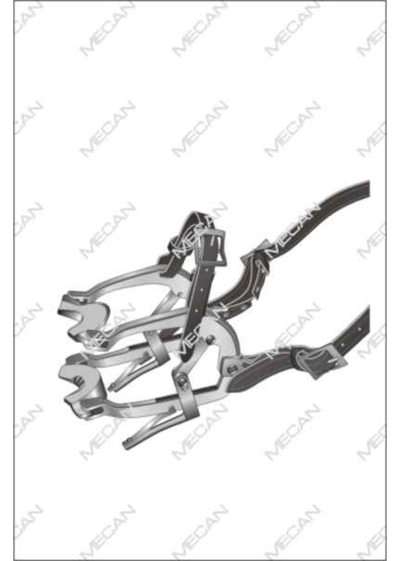 Mecan Mondsperder paard Millennium