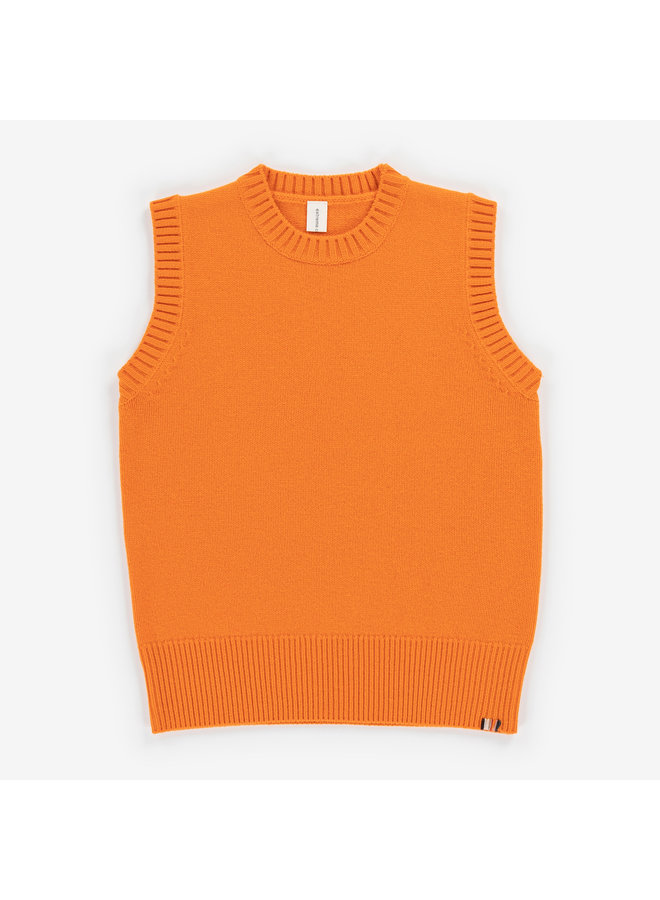 EXTREME CASHMERE N°252 LAYER CARROT