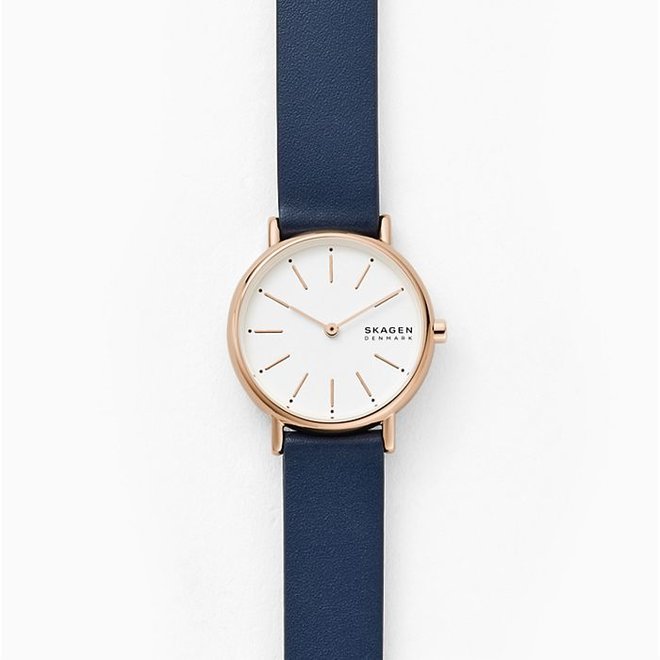 Skagen Signature SKW2838