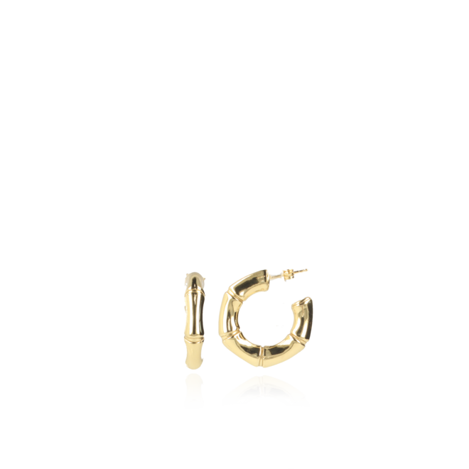 LOTT. Gioielli oorsieraad CLEA053-G41842