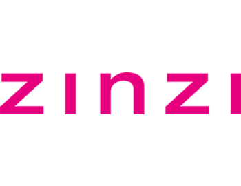 Zinzi