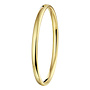 SilGold armband bangle 50.00032