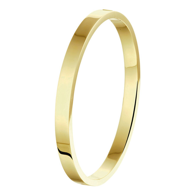 SilGold armband bangle 50.00050