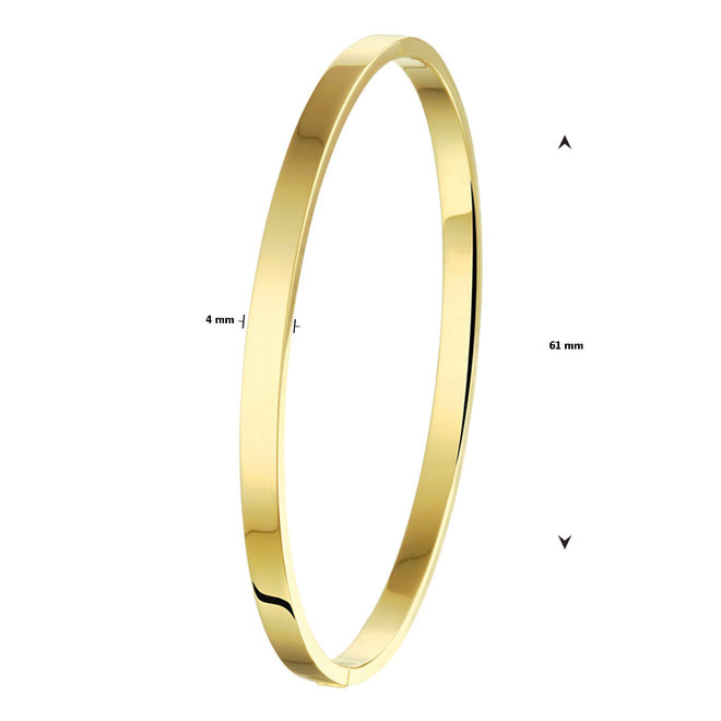 ZilGold armband bangle 50.00138