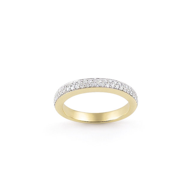 Amici ring geelgoud R7037G