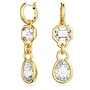 Swarovski  Dextera Oorhangers 5663265