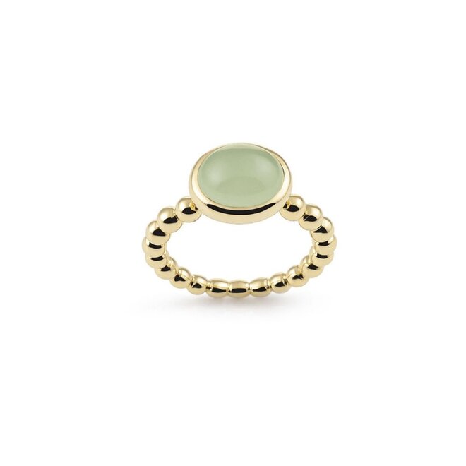 Amici ring geelgoud NR0329PRG