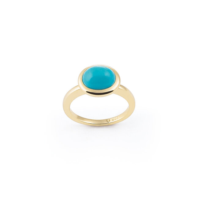 Amici ring geelgoud R6754TQG