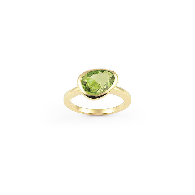 Amici ring geelgoud R7219PG