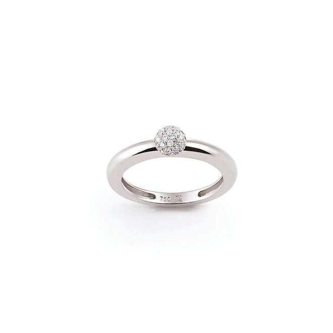 Amici ring witgoud R7342W