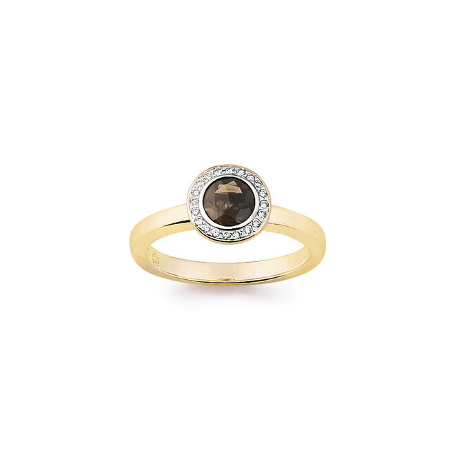 Amici ring geelgoud R6285GS