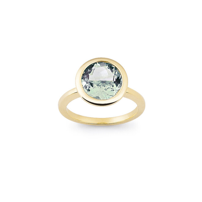 Amici ring geelgoud R6301G
