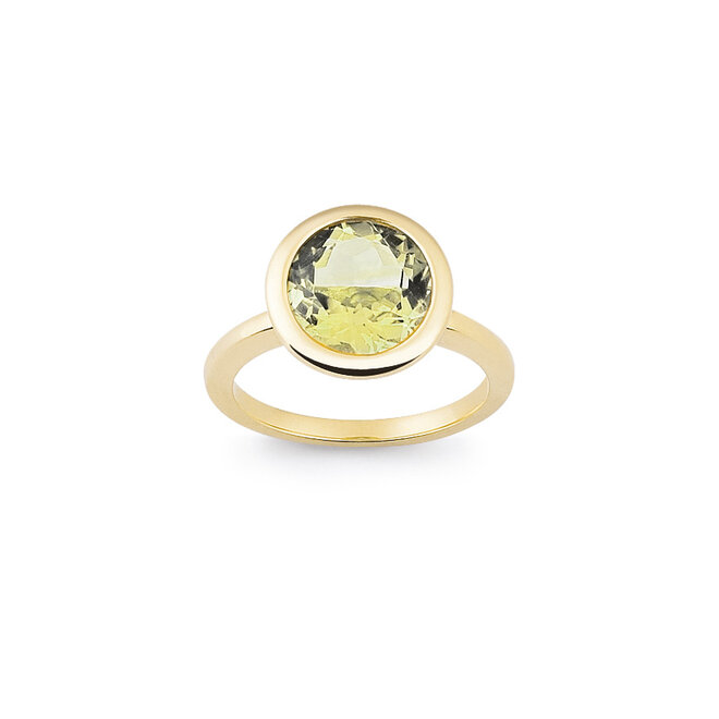 Amici ring geelgoud R6301L