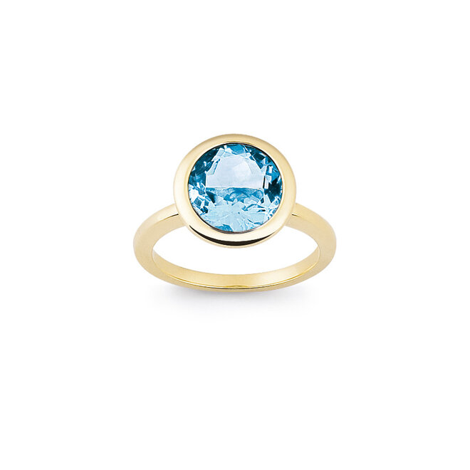 Amici ring geelgoud R6301TG